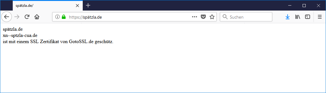 SSL Zertifikat einrichten 1